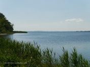 Blick von der Insel Vilm (c) Carola Peters