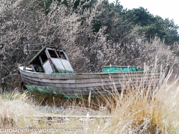 Altes Fischerboot (c) Carola Peters